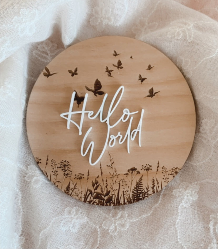 Hello World Butterfly Garden Welcome Disc