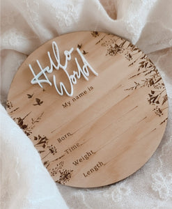 Hello World Butterfly Garden Birth Announcement Disc