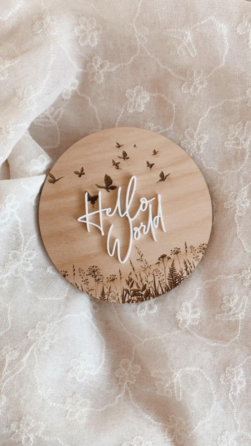 Hello World Butterfly Garden Welcome Disc