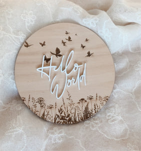 Hello World Butterfly Garden Welcome Disc