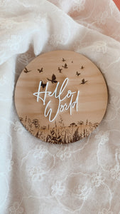 Hello World Butterfly Garden Welcome Disc